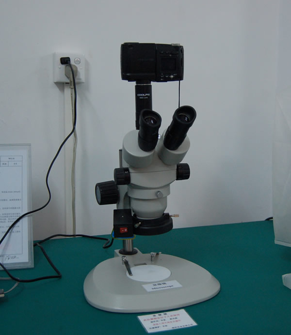 microscope